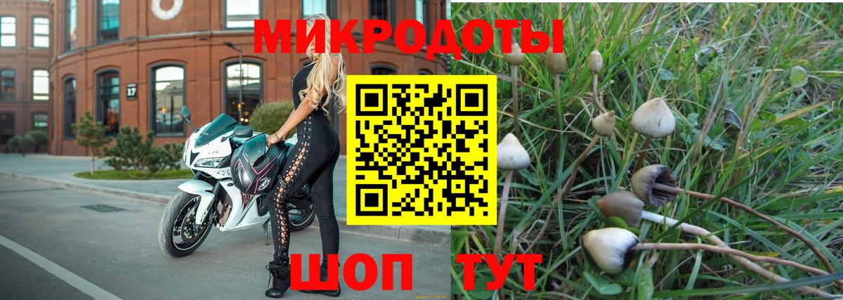 Псилоцибиновые грибы MAGIC MUSHROOMS Елабуга